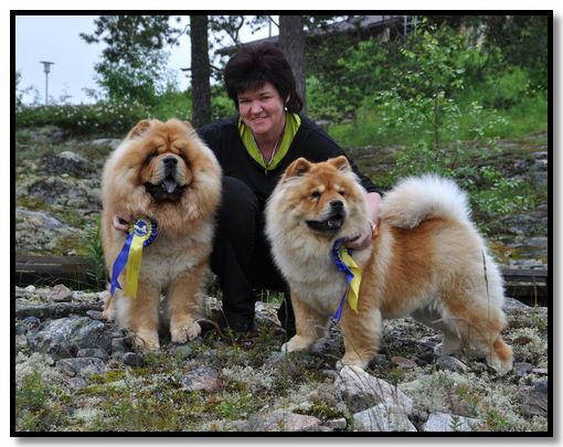 Willy och Molly som båda har blivit Svenska utställnings Champions.