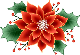 m_julblomma